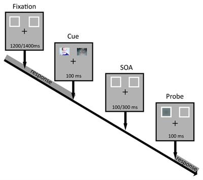 A Bottom-Up Validation of the IAPS, GAPED, and NAPS Affective Picture Databases: Differential Effects on Behavioral Performance